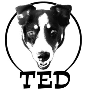 Ted the Dog